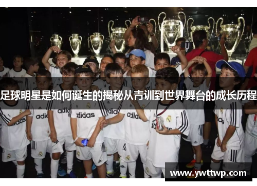 足球明星是如何诞生的揭秘从青训到世界舞台的成长历程