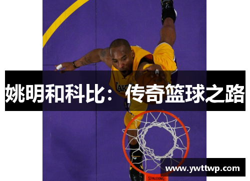 姚明和科比：传奇篮球之路