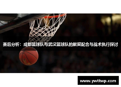 赛后分析：成都篮球队与武汉篮球队的默契配合与战术执行探讨