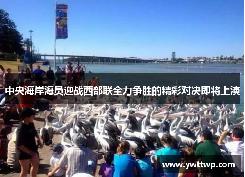 中央海岸海员迎战西部联全力争胜的精彩对决即将上演