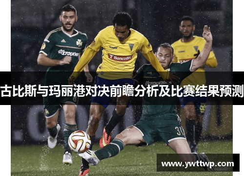 古比斯与玛丽港对决前瞻分析及比赛结果预测
